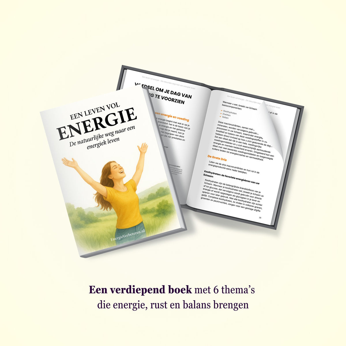 Een Leven Vol Energie - het boek met de zes thema's, opengeslagen