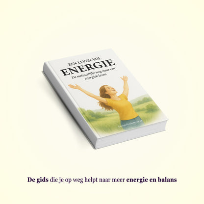 De Gids - stap voor stap naar meer energie en balans