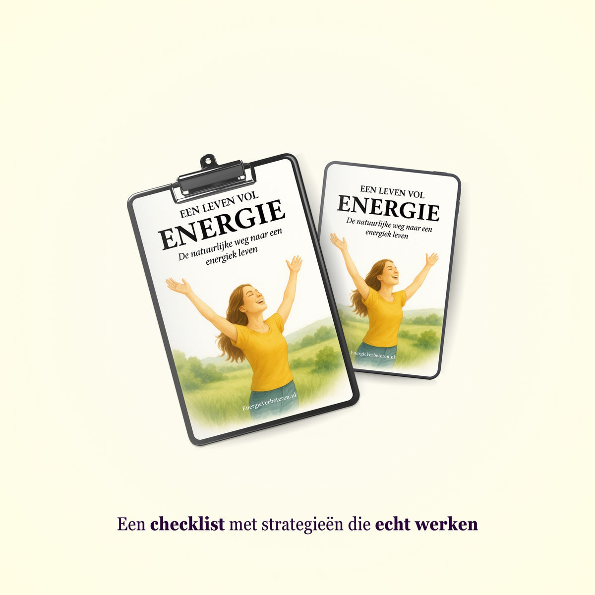 De Checklist - dagelijkse strategieen om af te vinken