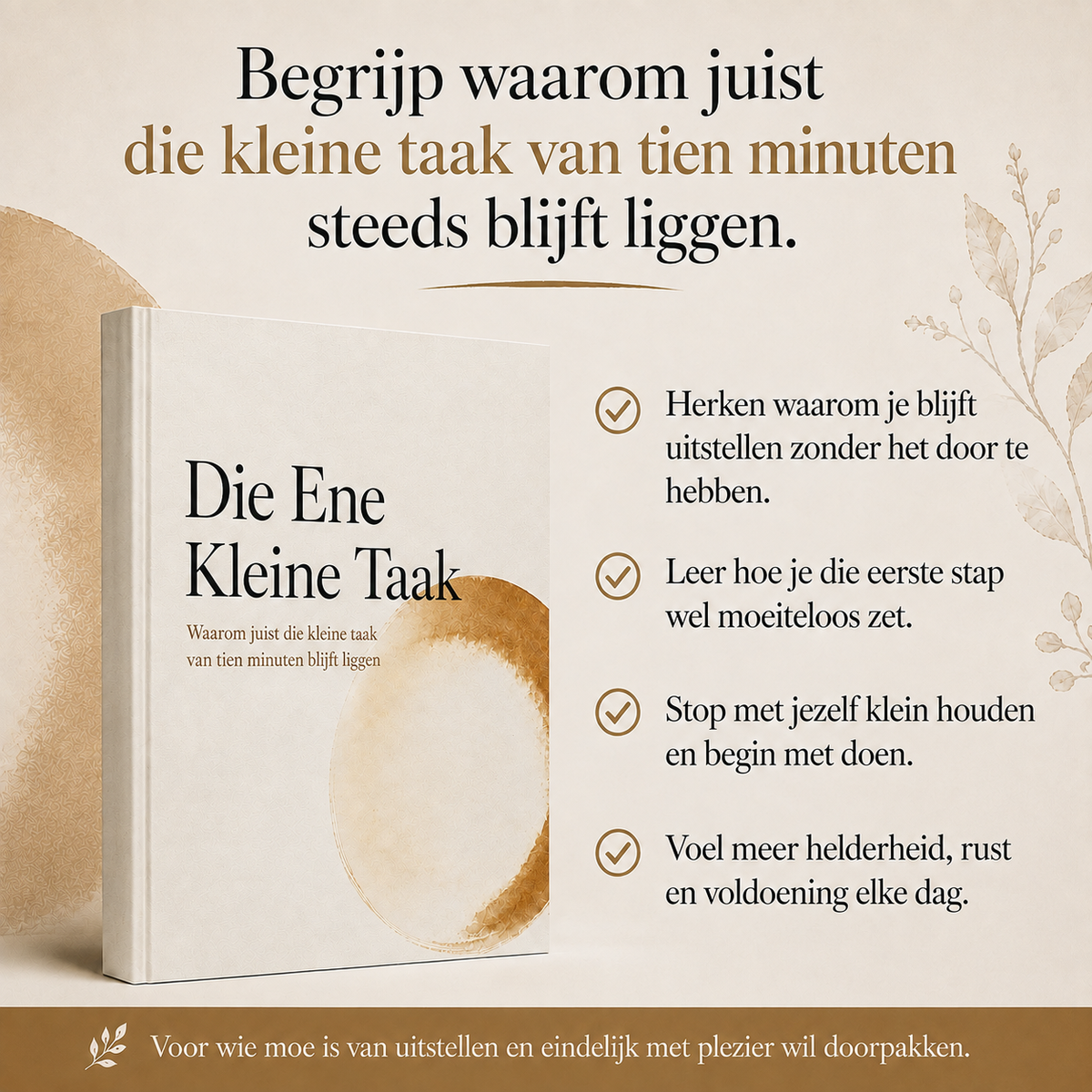 Die Ene Kleine Taak : Waarom juist die kleine taak van tien minuten blijft liggen