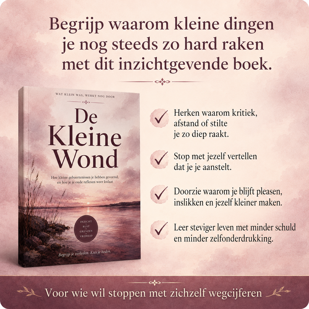 De Kleine Wond : Hoe kleine gebeurtenissen je hebben gevormd, en hoe je je oude reflexen weer loslaat