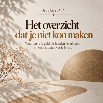 Nooit Mijn Eigen Geld : Hoe praktische keuzes je eigen positie uit handen lieten glippen — zonder dat je het doorhad.