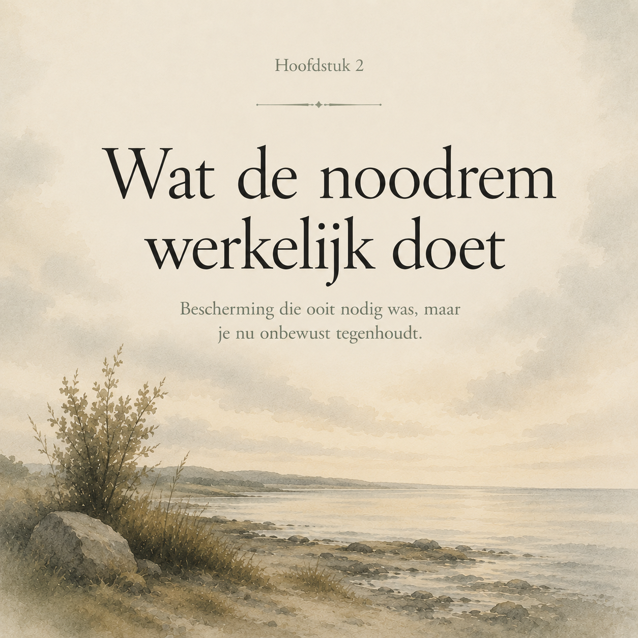 De Emotionele Noodrem : Voor iedereen die wel iets voelt, maar er niet bij kan