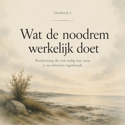 De Emotionele Noodrem : Voor iedereen die wel iets voelt, maar er niet bij kan
