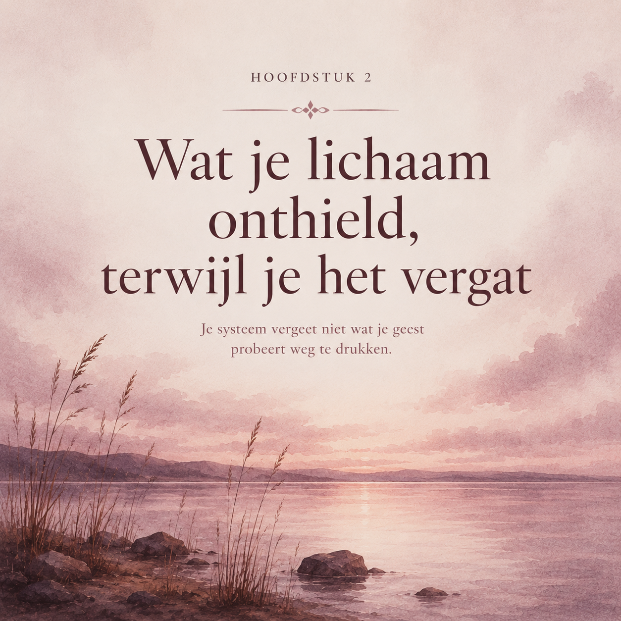 De Kleine Wond : Hoe kleine gebeurtenissen je hebben gevormd, en hoe je je oude reflexen weer loslaat