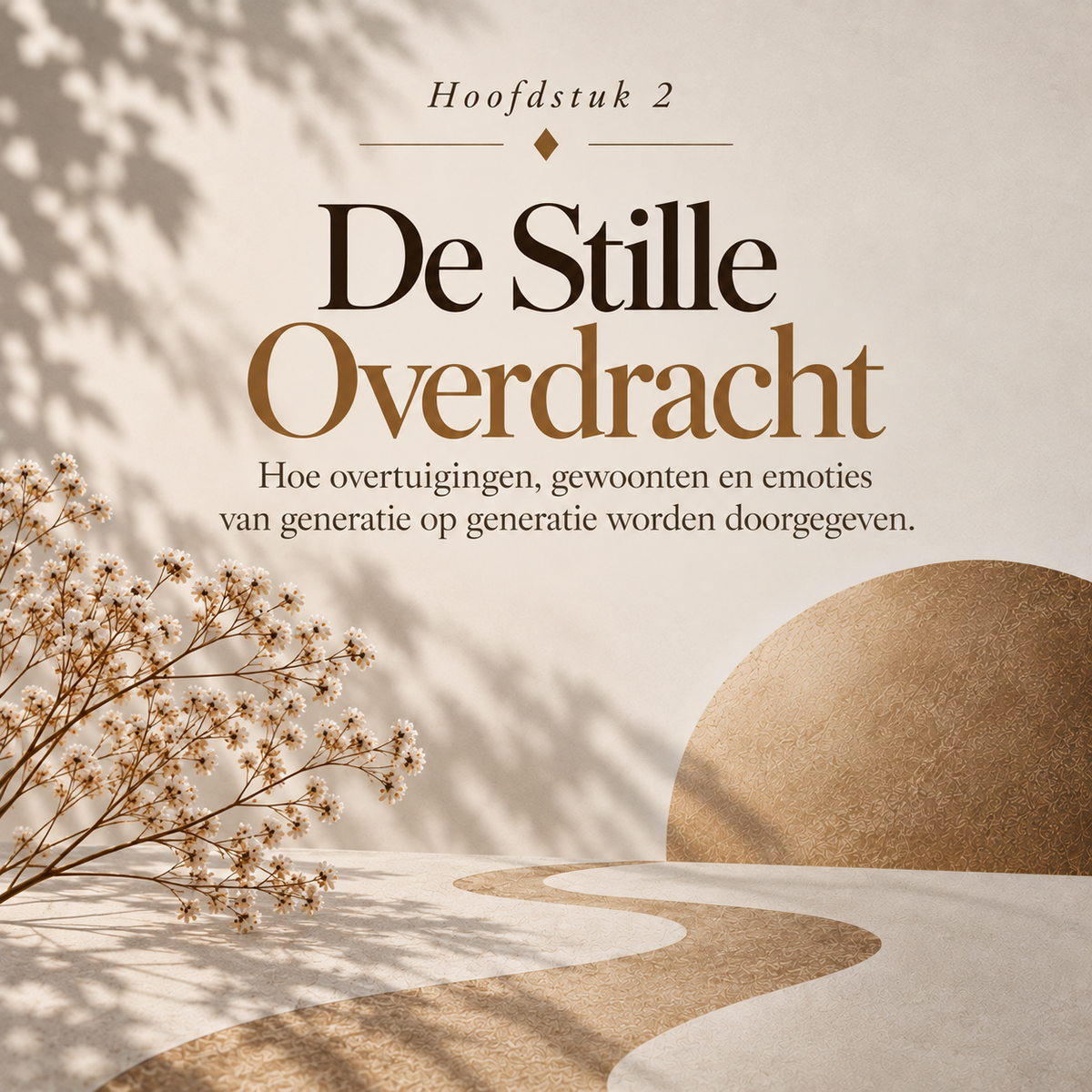Nooit Mijn Eigen Geld : Hoe praktische keuzes je eigen positie uit handen lieten glippen — zonder dat je het doorhad.
