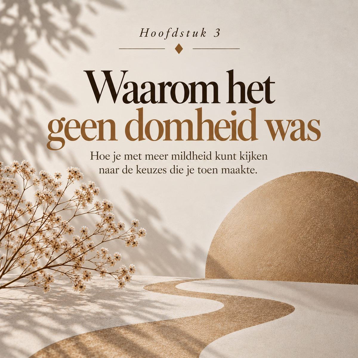 Nooit Mijn Eigen Geld : Hoe praktische keuzes je eigen positie uit handen lieten glippen — zonder dat je het doorhad.