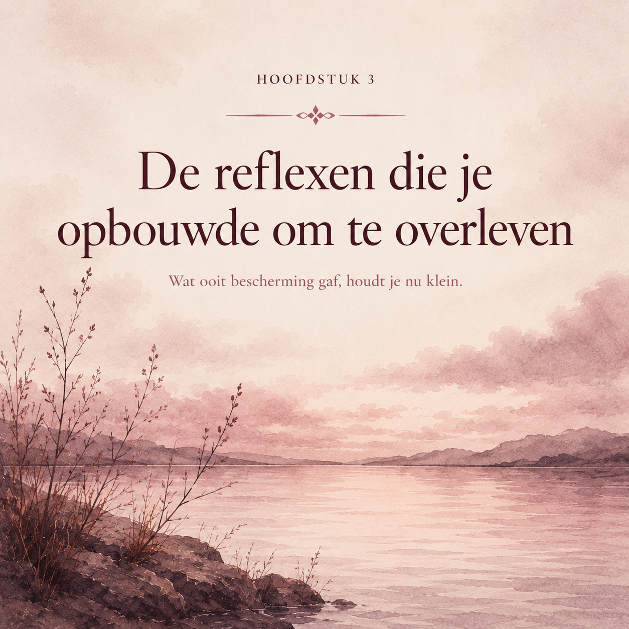 De Kleine Wond : Hoe kleine gebeurtenissen je hebben gevormd, en hoe je je oude reflexen weer loslaat
