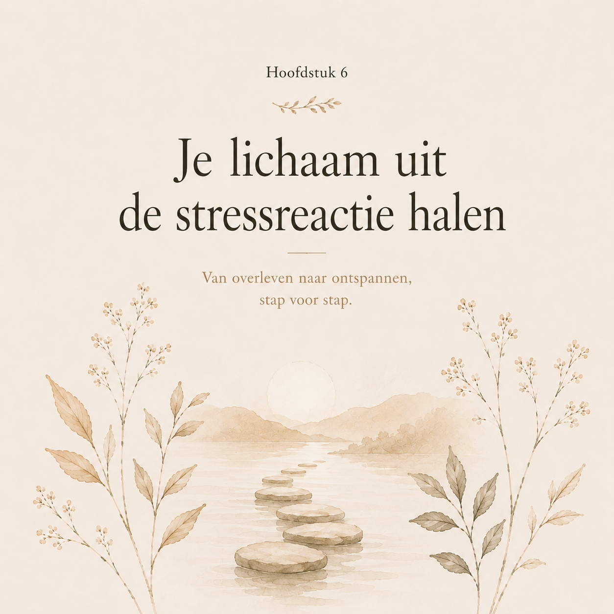 Het Geheugen van je Lichaam : Waarom oude spanning in je lichaam blijft zitten, en hoe je het loslaat