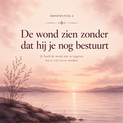 De Kleine Wond : Hoe kleine gebeurtenissen je hebben gevormd, en hoe je je oude reflexen weer loslaat