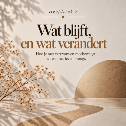 Nooit Mijn Eigen Geld : Hoe praktische keuzes je eigen positie uit handen lieten glippen — zonder dat je het doorhad.